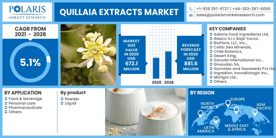 Quillaia_Extracts_Market4