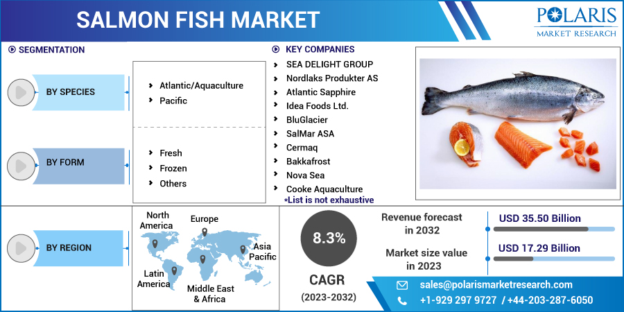Salmon_Fish_Market12
