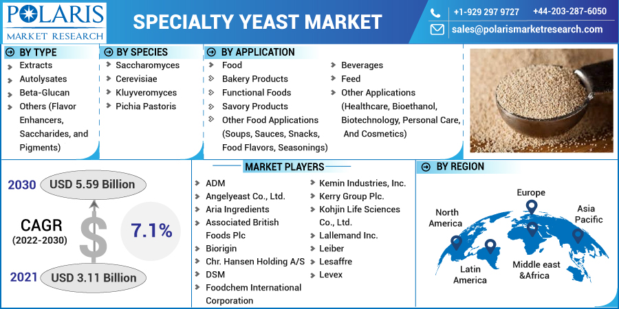 Specialty_Yeast_Market-0113