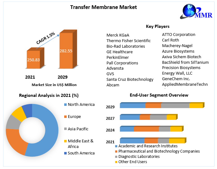 Transfer-Membrane-Market-1