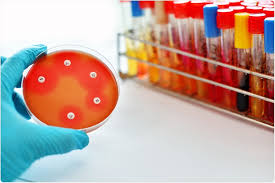 Veterinary_Antimicrobial_Susceptibility_Testing