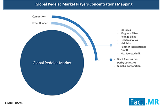 pedelec-marketplayers-concentrations-mapping