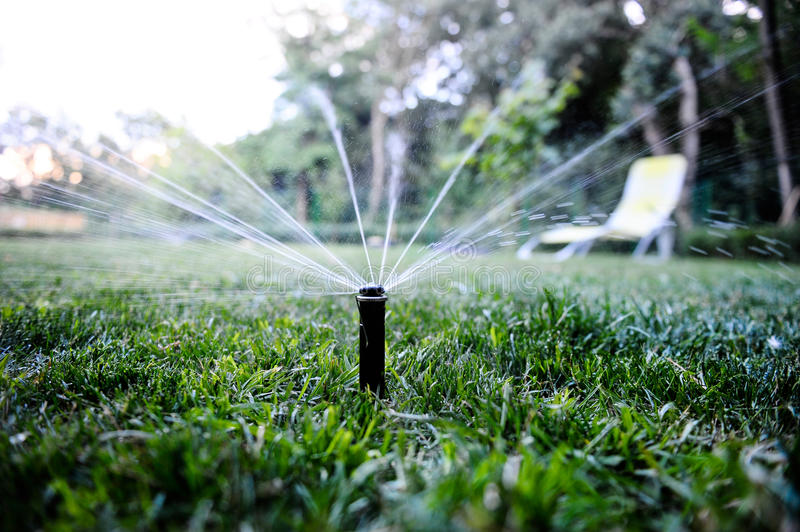 sprinkler-spraying-water-backyard-lawn-43027925
